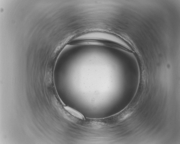 X0000055520393200508262211