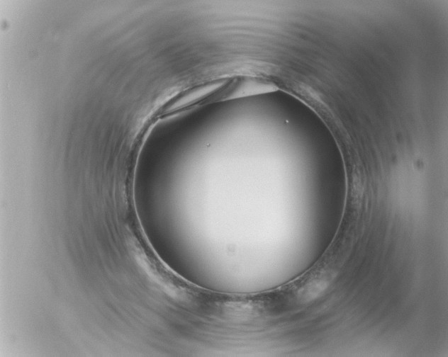 X0000055520394200508262211