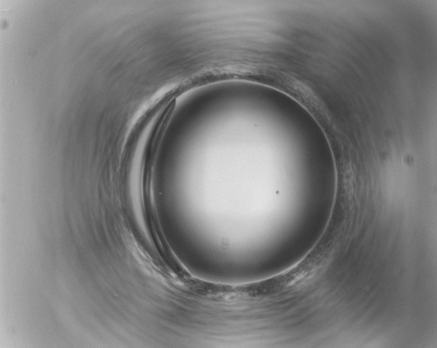 X0000055520395200508262211