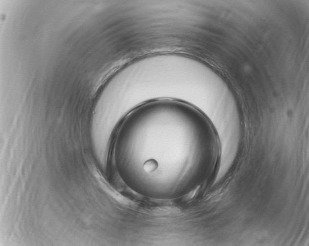 X0000055520397200508262211