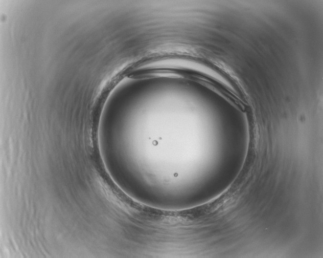 X0000055520399200508262211