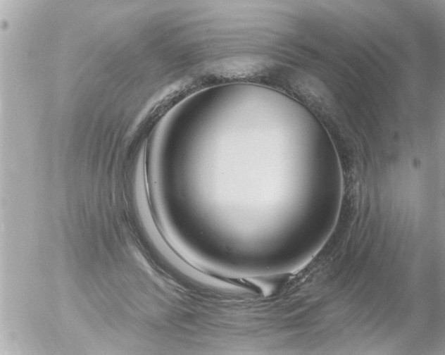 X0000055520400200508262211