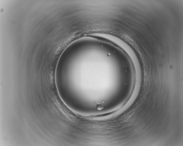 X0000055520401200508262211