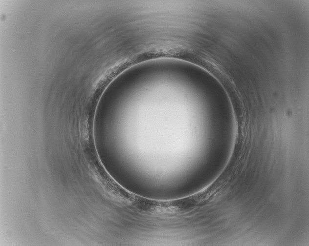 X0000055520403200508262211