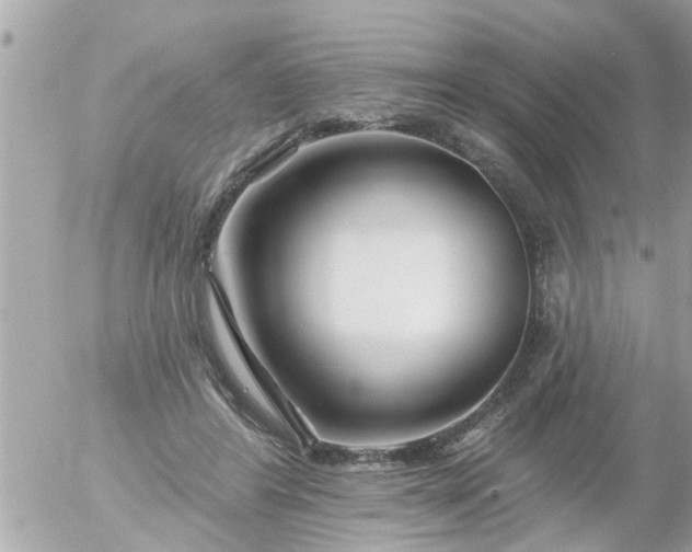 X0000055520404200508262211