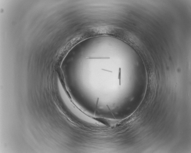 X0000055520406200508262211