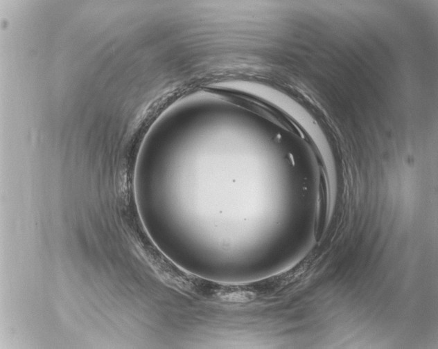 X0000055520407200508262210