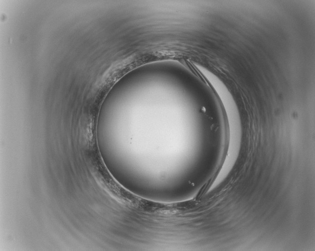 X0000055520408200508262210