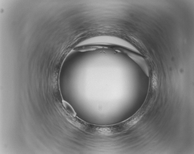 X0000055520409200508262210