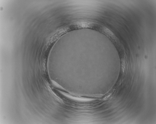 X0000055520410200508262210