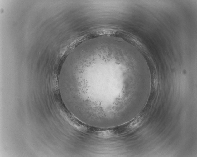 X0000055520411200508262210