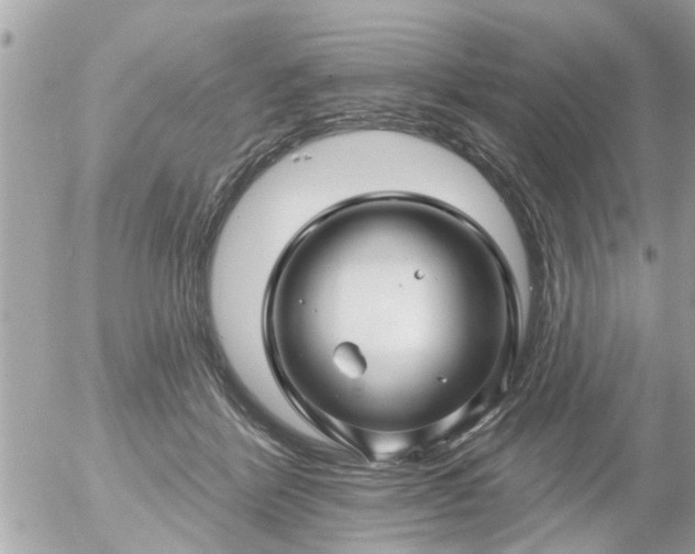 X0000055520412200508262210