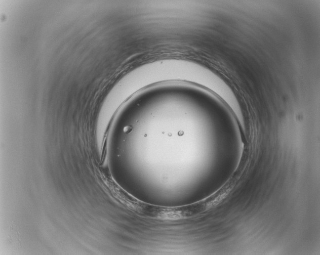 X0000055520413200508262210