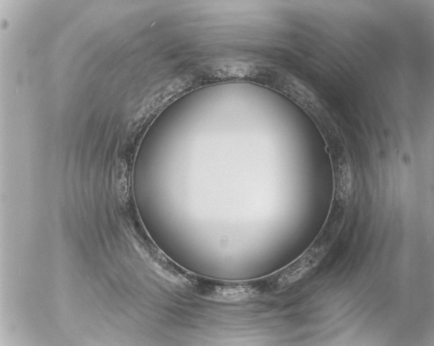 X0000055520414200508262210