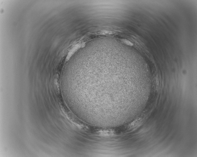 X0000055520415200508262210