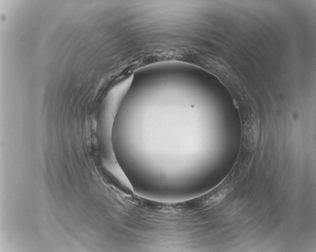 X0000055520416200508262210