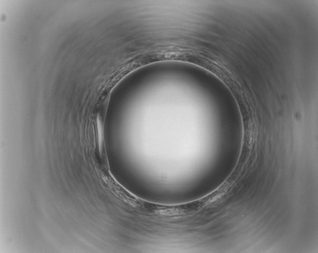 X0000055520417200508262210