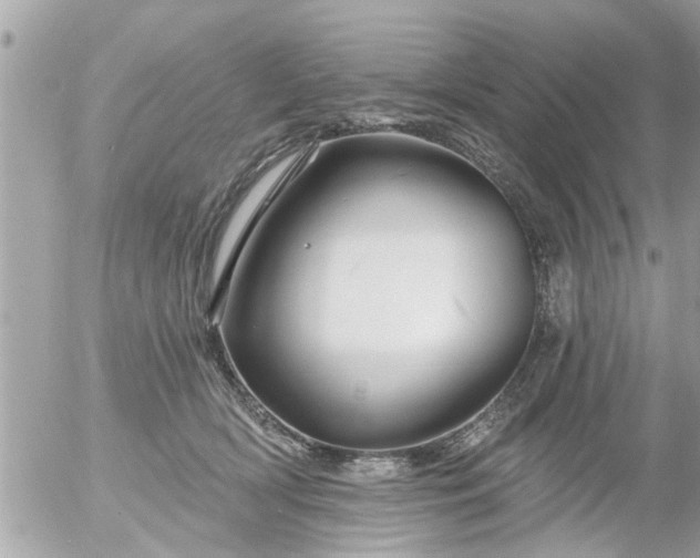 X0000055520418200508262210