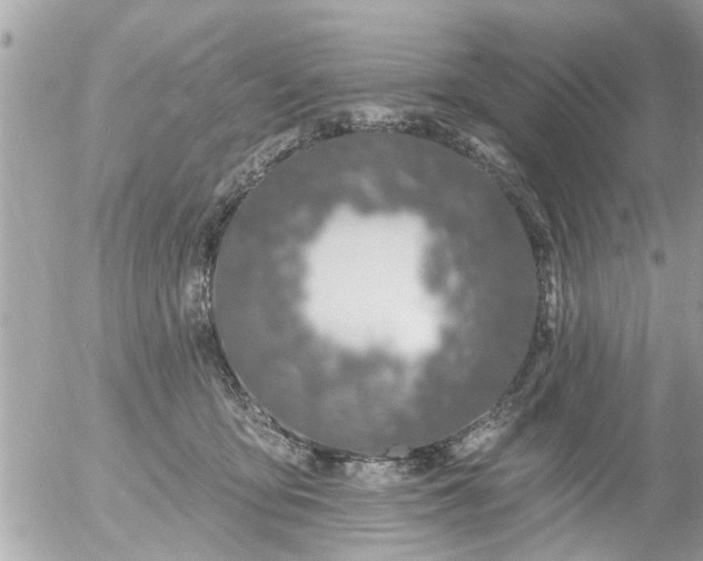 X0000055520419200508262210