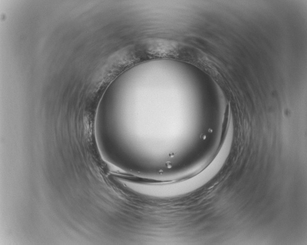 X0000055520420200508262210