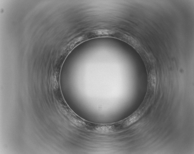 X0000055520422200508262210