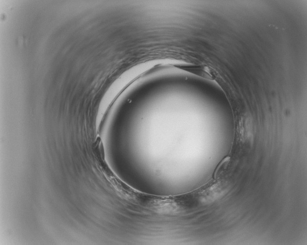 X0000055520424200508262210