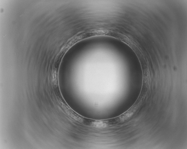 X0000055520425200508262210