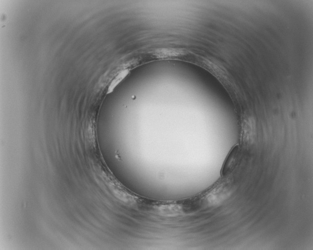 X0000055520426200508262210