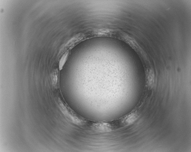 X0000055520427200508262210