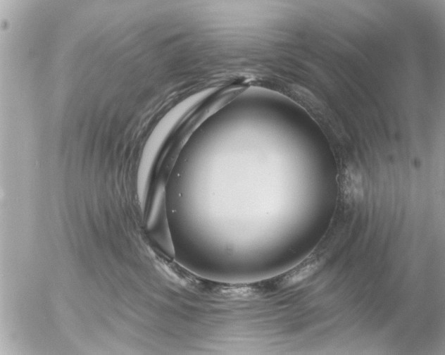 X0000055520428200508262210