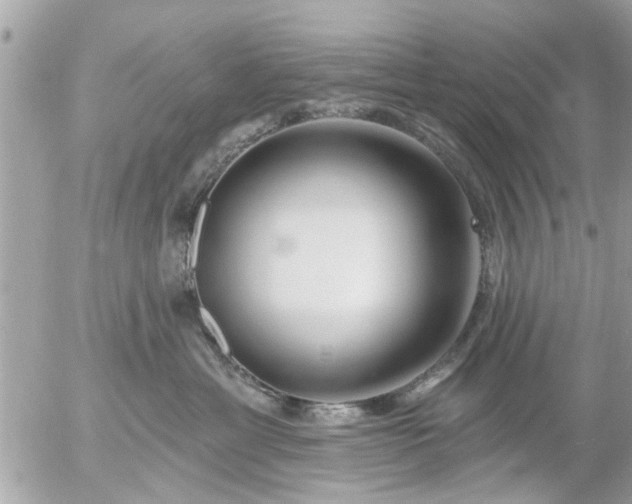 X0000055520429200508262210