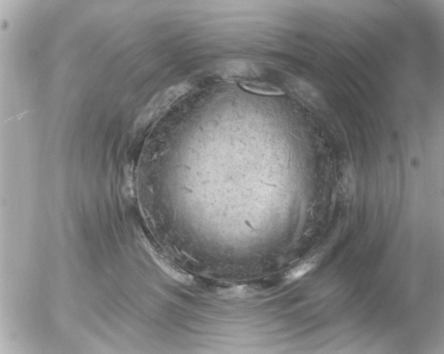 X0000055520430200508262210