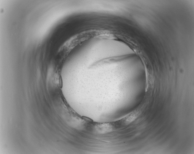 X0000055520431200508262210