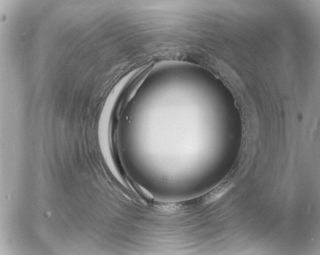 X0000055520432200508262210