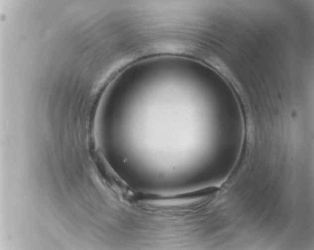 X0000055520434200508262209