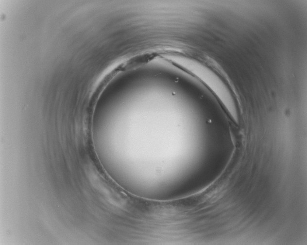 X0000055520435200508262209