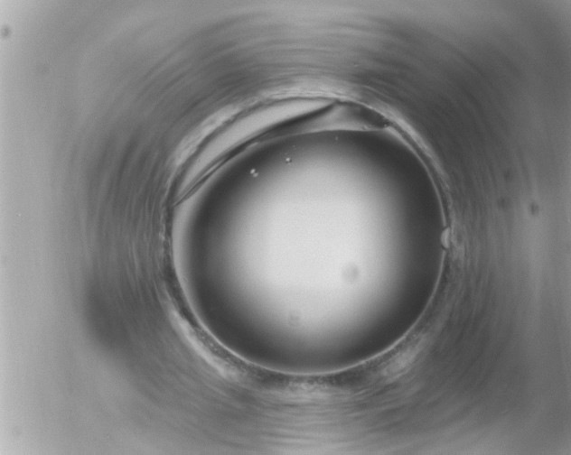 X0000055520437200508262209