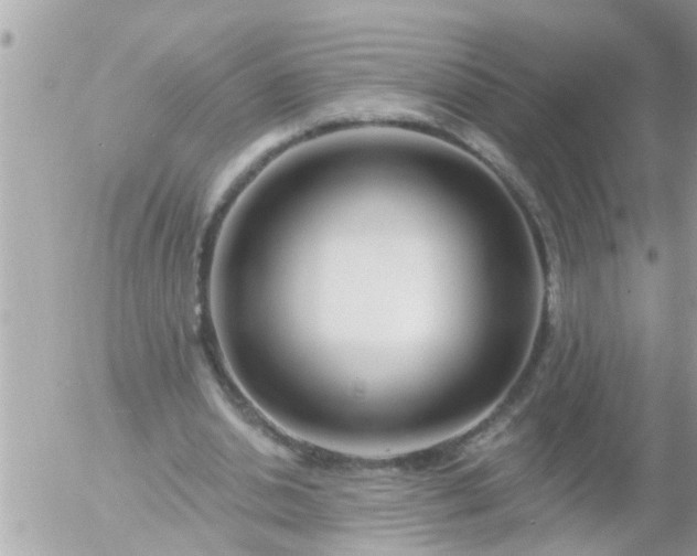 X0000055520438200508262209