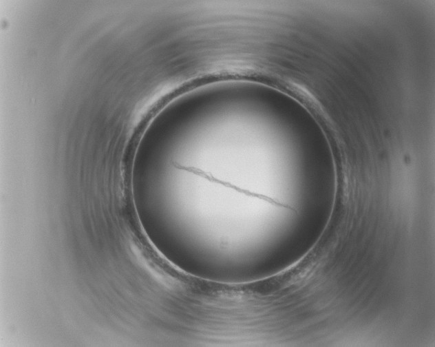 X0000055520439200508262209