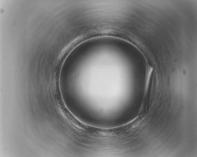 X0000055520442200508262209