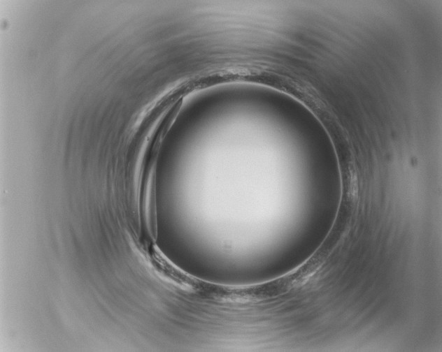 X0000055520444200508262209