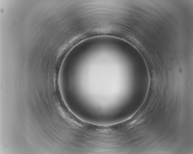 X0000055520446200508262210