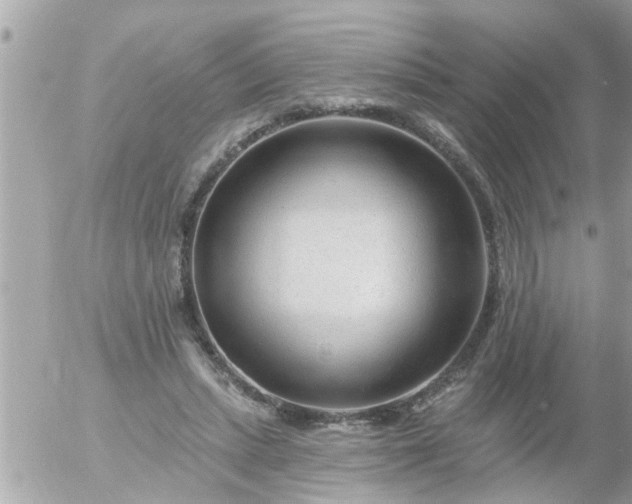 X0000055520447200508262210