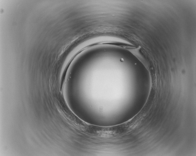 X0000055520448200508262210