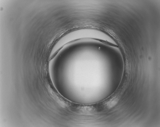 X0000055520449200508262210