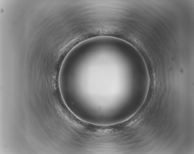 X0000055520450200508262210