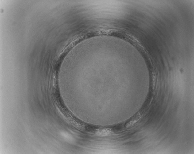 X0000055520451200508262210