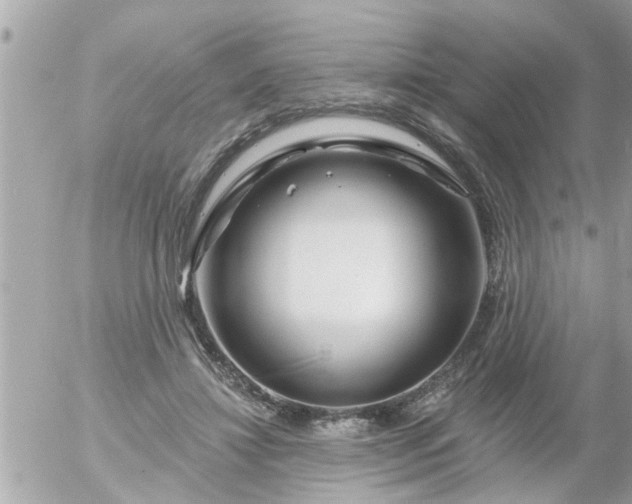 X0000055520452200508262210