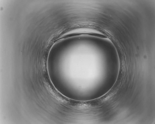 X0000055520453200508262210