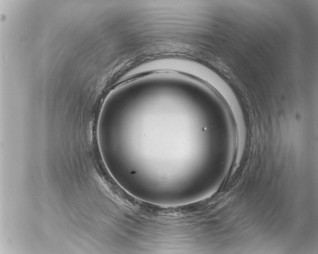 X0000055520454200508262210